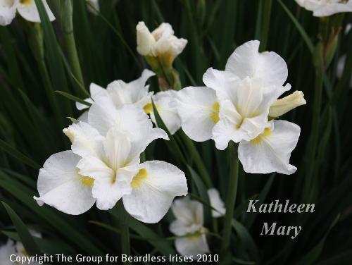 Kathleen Mary
